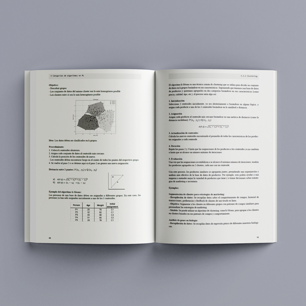 Libro IA Manager: guía sobre inteligencia artificial, machine learning, datos, big data y gestión de proyectos de IA