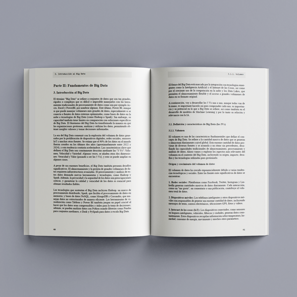 Libro IA & Big Data: guía para comprender la relación entre la inteligencia artificial, los datos y el big data en el campo empresarial